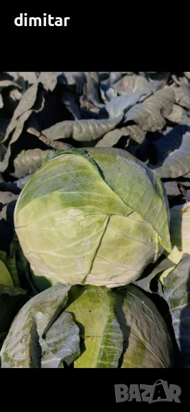 зеле Марлу, снимка 1