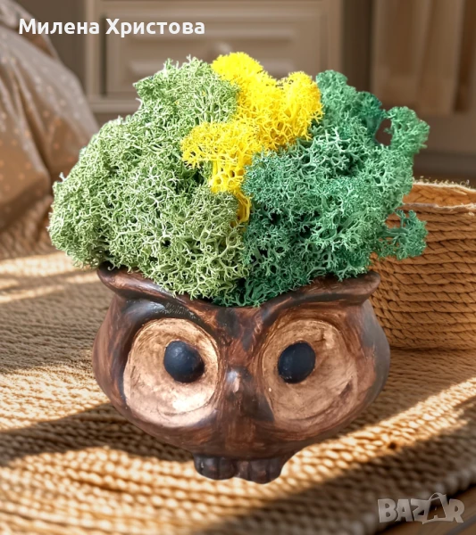 Кашпа със скандинавски мъх , снимка 1