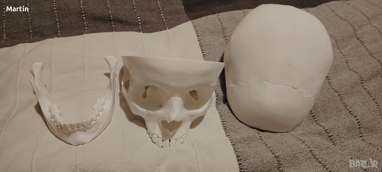 Череп , снимка 1