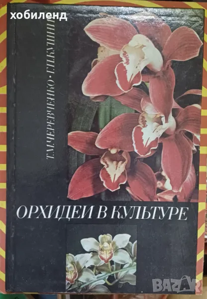 Орхидеи отглеждане, снимка 1