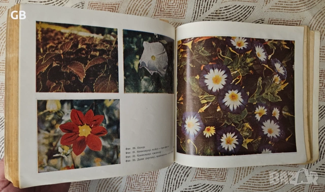 Комплект полезни книги за градинарство, озеленяване, билки, снимка 15 - Специализирана литература - 53966428