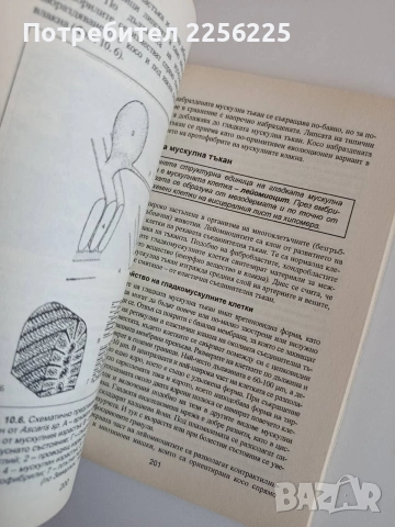 Цитология, хистология и ембриология, снимка 5 - Специализирана литература - 53861624
