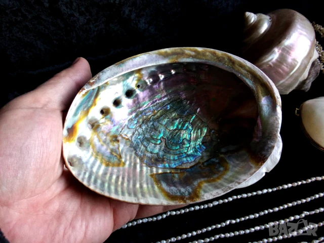 Перли,седеф и др., снимка 7 - Антикварни и старинни предмети - 51305645