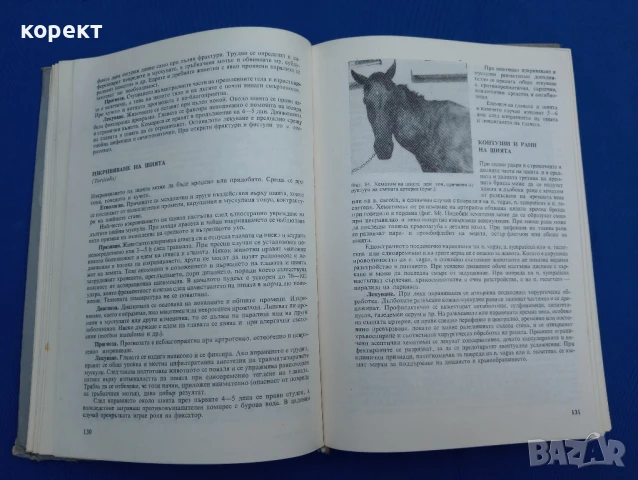 Частна хирургия при домашните животни , снимка 8 - Енциклопедии, справочници - 51185836