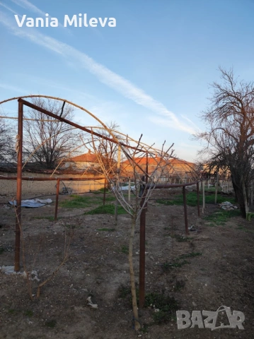 Продавам оранжерия