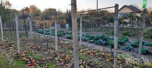 Циментови колци, колове за ограда, лозе, градина., снимка 2 - Огради и мрежи - 52591810