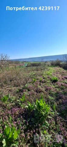 Собственик продава Дворно Място в с. Рогачево