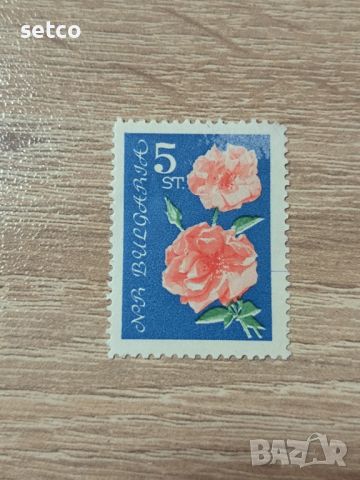 България Флора цветя рози 1962 г., снимка 1 - Филателия - 46454299