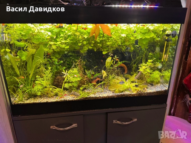 Въглерод пълен комплект , осветление 80См , снимка 3 - Оборудване за аквариуми - 52163042