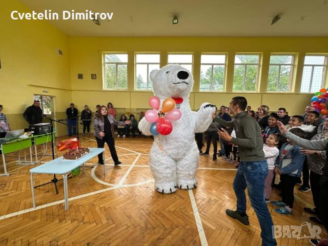 Бяло мече за вашето събитие - Област Плевен / Ловеч / Бяла Полярна мечка, снимка 1 - Други - 46291464