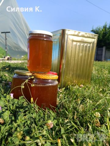 Мед, снимка 6 - Пчелни продукти - 46389554