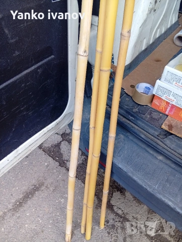 Бамбук, снимка 3 - Декорация за дома - 53614596