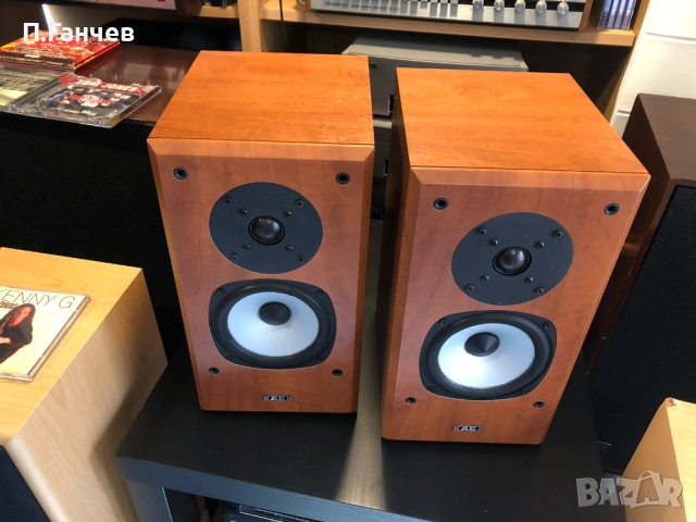 ACOUSTIC ENERGY AEGIS EVO ONE Тонколони, снимка 3 - Тонколони - 53897913