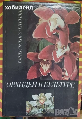 Орхидеи отглеждане, снимка 1