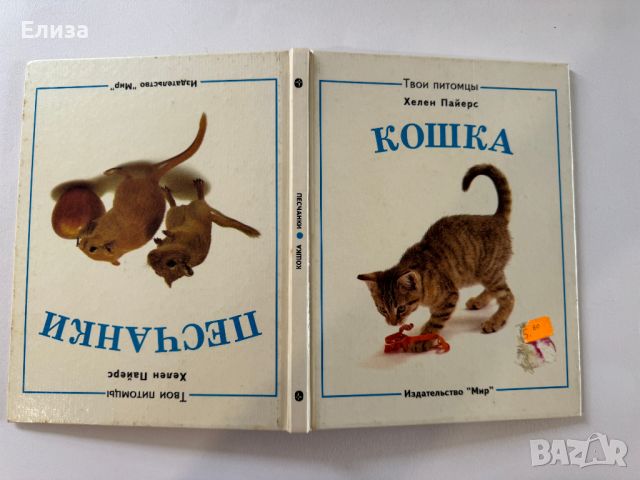 Кошка. Песчанки. Книга 2 в 1, снимка 3 - Енциклопедии, справочници - 45608111