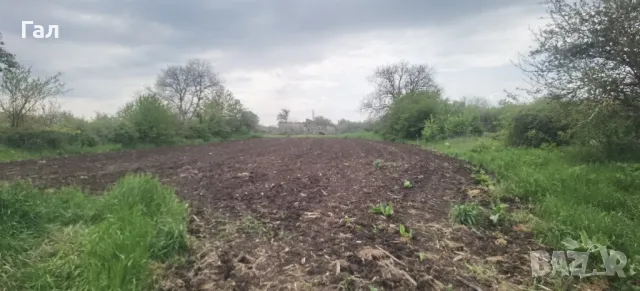 Къща с двор 2718кв.м в регулация в село Могилище на 10км. от плажа 2718кв.м. , снимка 5 - Парцели - 50104229