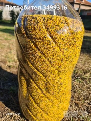 Домашен пчелен прашец СЪБИРАМ ЗАЯВКИ ЗА 2026Г