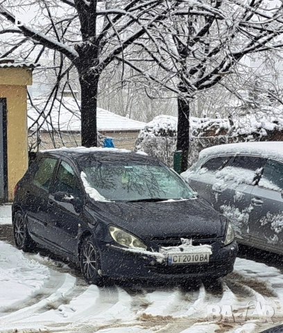 Пежо 307 2.0 HDI. 110 коня , снимка 3 - Автомобили и джипове - 52963862