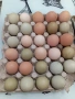 Домашни яйца, снимка 1