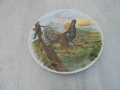 № 8534 Винтидж порцеланово пано с птица – Kaiser Germany  , снимка 3