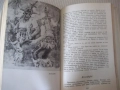 Книга "Съченения в три тома - том 2 - Чудомир" - 392 стр., снимка 5