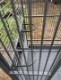 Голяма Клетка кафез за папагали или други животни, снимка 11