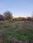 Парцел Чешнегирово, УПИ 1 085 кв.м, снимка 6