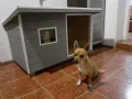 кучешка къща,къща за куче,колиба за куче,кучешка колиба, снимка 9