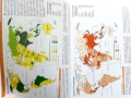 Атлас по География и Икономика за 9.клас - 2019г., снимка 3