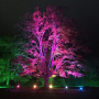 Интелигентен LED прожектор с дистанционно, 100W, различен цвят светлини (multicolor), снимка 5