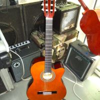 Valencia VC 104 cl.guitar, снимка 10 - Струнни инструменти - 45760312