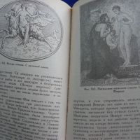 Мифы в искусстве старом и новом-Рене Менар, снимка 6 - Енциклопедии, справочници - 45430480