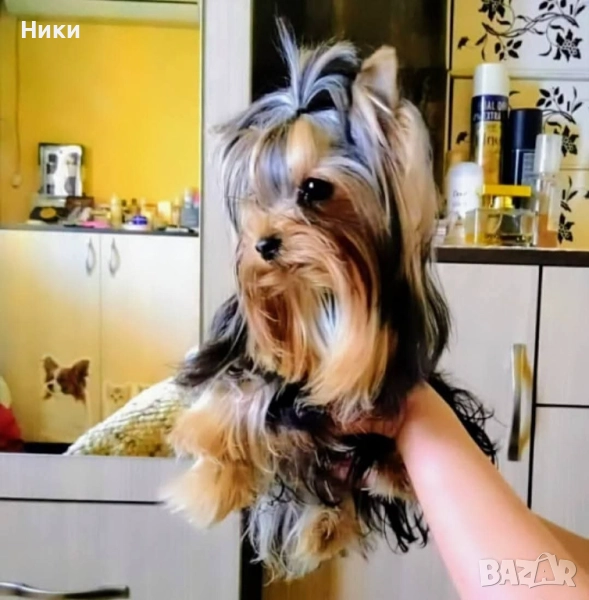 Малки мини коледарчета , снимка 1