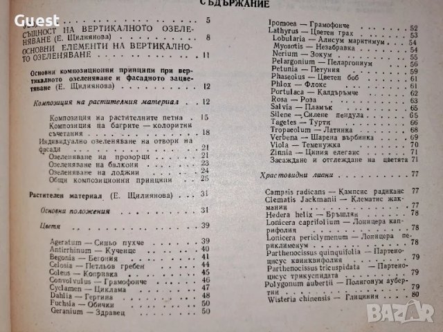 Вертикално озеленяване на сгради , снимка 4 - Специализирана литература - 48669450