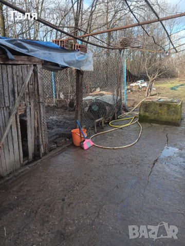 Продавам къща Враца местност Дери вол, снимка 6 - Къщи - 53402561