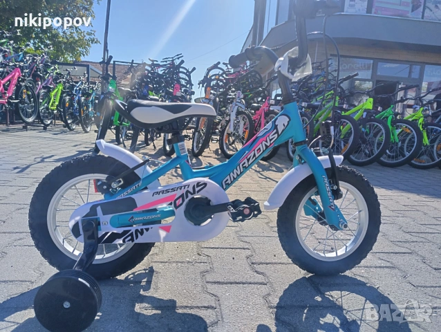 PASSATI Велосипед 12" AMAZONS син
