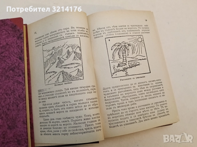 История на човѣчеството - Х. В. Луунъ (1945, Луксозна изработка, Отлично състояние), снимка 5 - Специализирана литература - 52773368