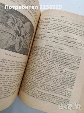 Зеленчукопроизводство, снимка 3 - Специализирана литература - 54087331