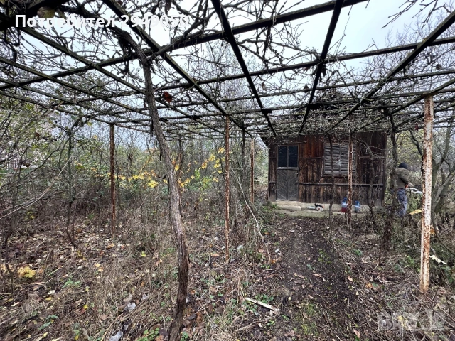 Почистване на дворове и всякакъв вид парцели, снимка 11 - Други услуги - 54068795