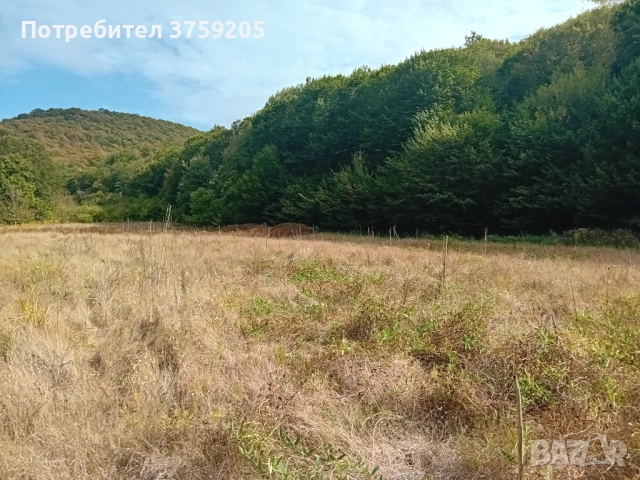 Продавам горска нива 15 дка., снимка 2 - Парцели - 52266192
