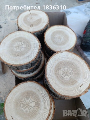 Дървени шайби от бор , снимка 4 - Декорация за дома - 53616476