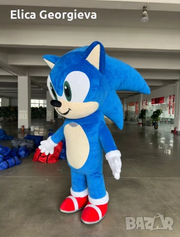 Соник , снимка 2 - Детегледачки, детски центрове - 50580022