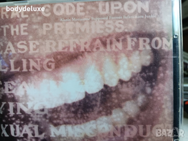 Alanis Morissette албуми на аудио дискове, снимка 3 - CD дискове - 51492677