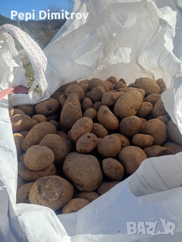 Картофи за животни 