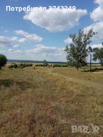 Продавам дворно място, снимка 5 - Парцели - 52966530