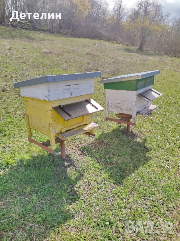 пчелни кошери Дадан-Блат 12 рамкови , снимка 4 - За пчели - 54009773