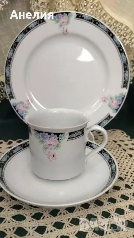 Seltmann Weidenen Bavaria Daniela rose, снимка 2 - Чаши - 50211674