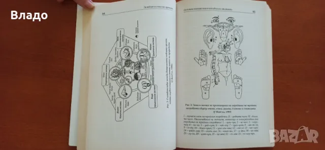 Лечебната сила храната У вей син, снимка 5 - Специализирана литература - 37699056