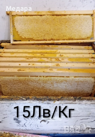 Цяла Пита с Мед