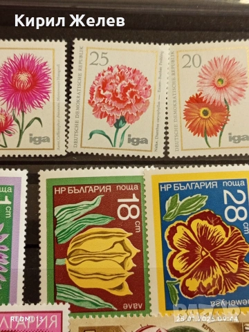 Стари пощенски марки от цял свят смесени ЦВЕТЯ за КОЛЕКЦИЯ ДЕКОРАЦИЯ 52116, снимка 6 - Филателия - 53217789